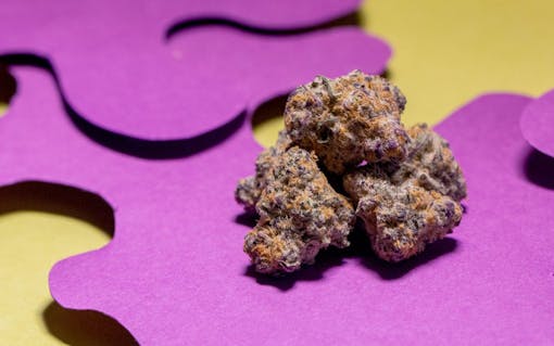 purple punch marijuana strain