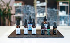 Chill, Philz: Sample CBD like it's tea at NYC-TriBeCa's Come Back Daily. (Courtesy Come Back Daily)