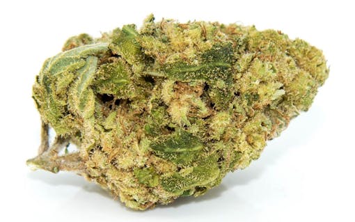 white widow marijuana strain