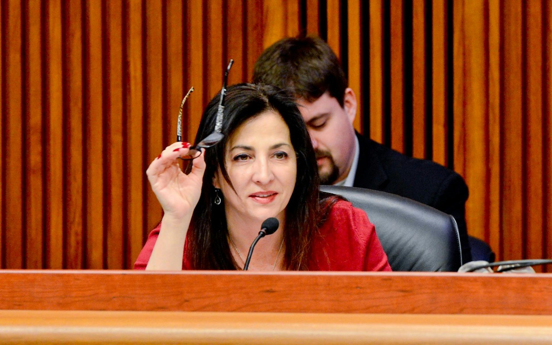 New York Legalization? State Senator Diane Savino Explains When image