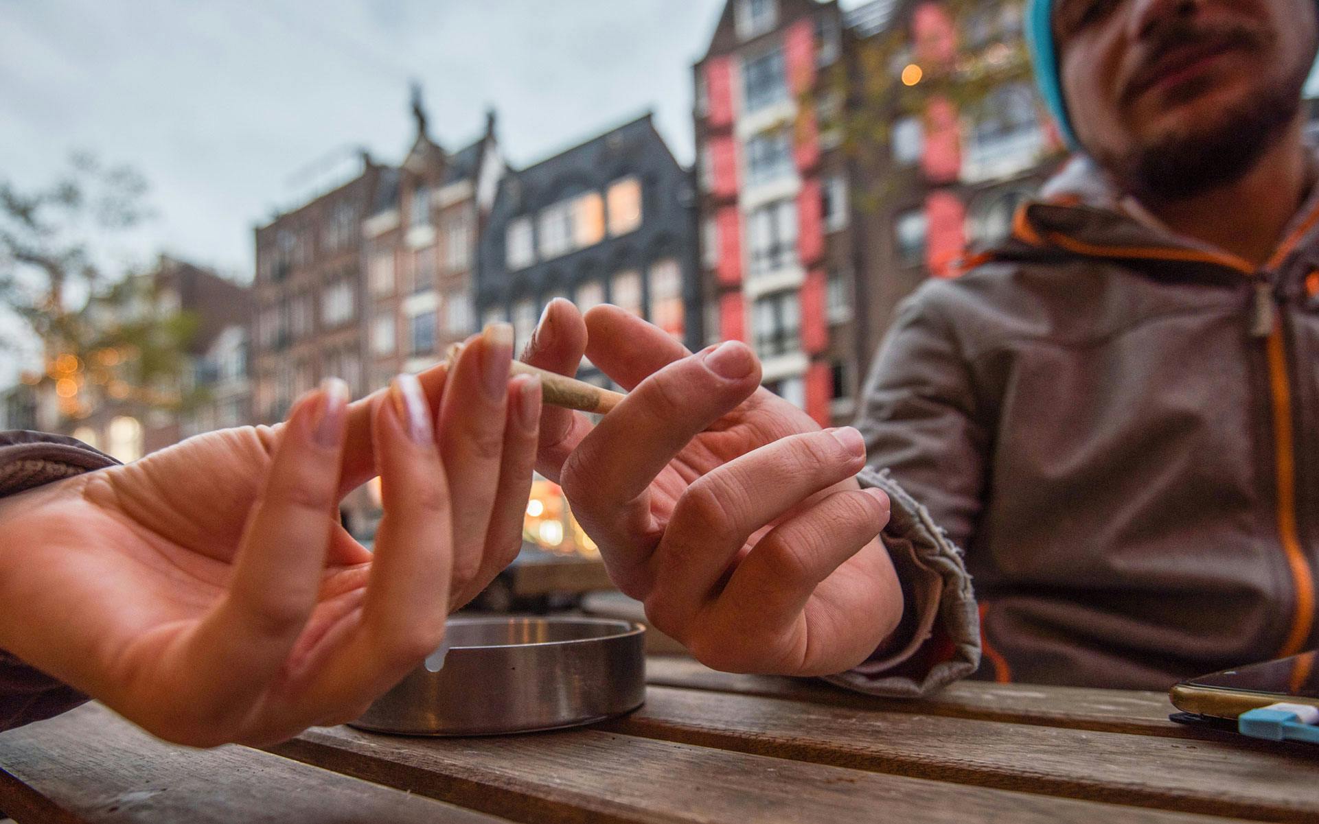 17 countries that could become top weed tourism destinations image