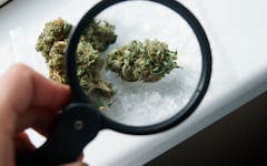 Where There's Smoke: Cannabis labs under fire for lax standards. (VasilevKirill/iStock)