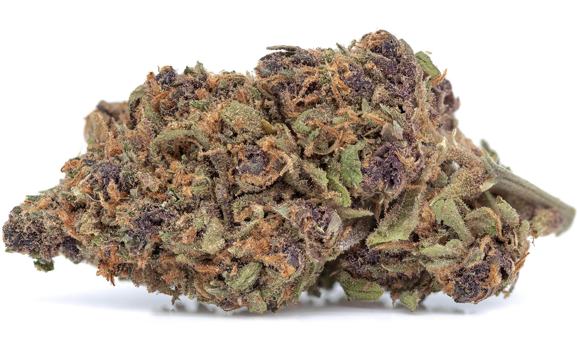 Nothing's Fresher Than These Oregon Sun-Grown Strains image