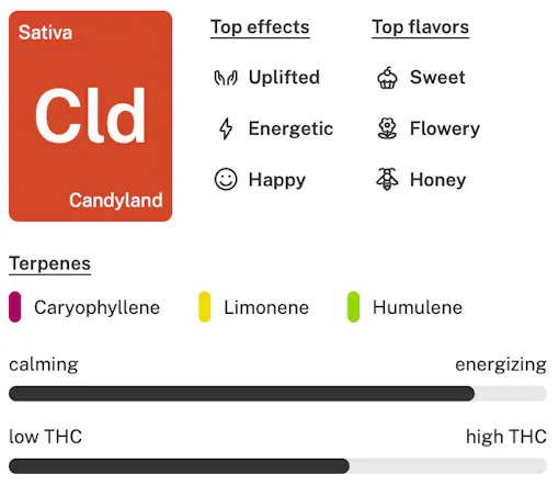 Candyland strain details lockup