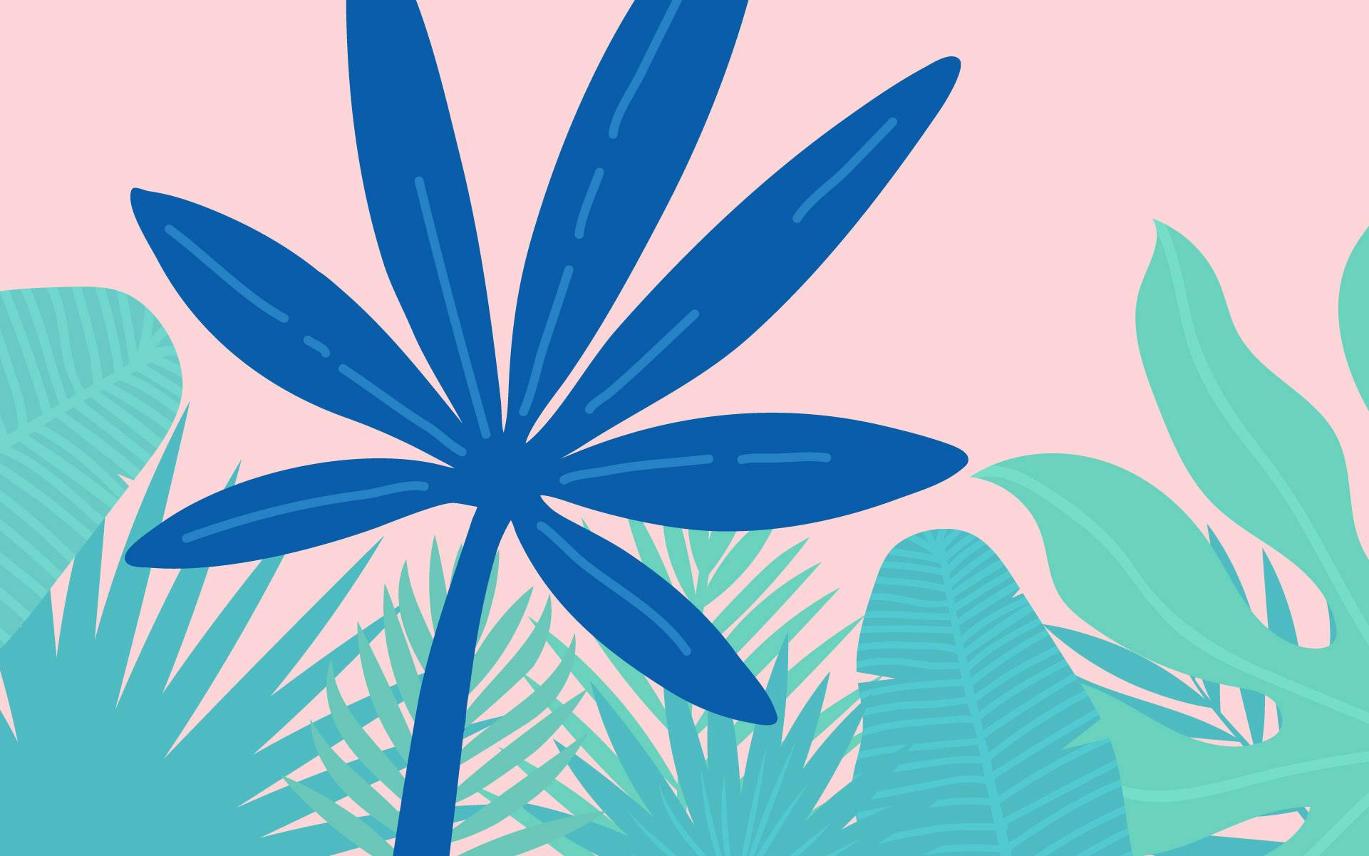 A Beginner’s Guide to Outdoor Cannabis in Tropical Climates image