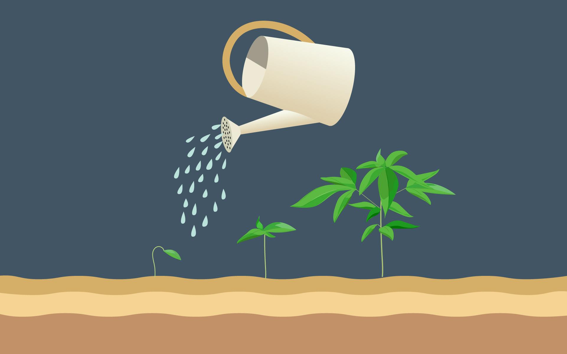 Sourcing Water for Your Cannabis Homegrow image