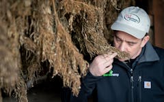 Road Hazards: Hemp interdictions are on the increase in the US. Above, a Kentucky hemp farmer inspects plants at Ananda Hemp. (AP FILE Bryan Woolston)