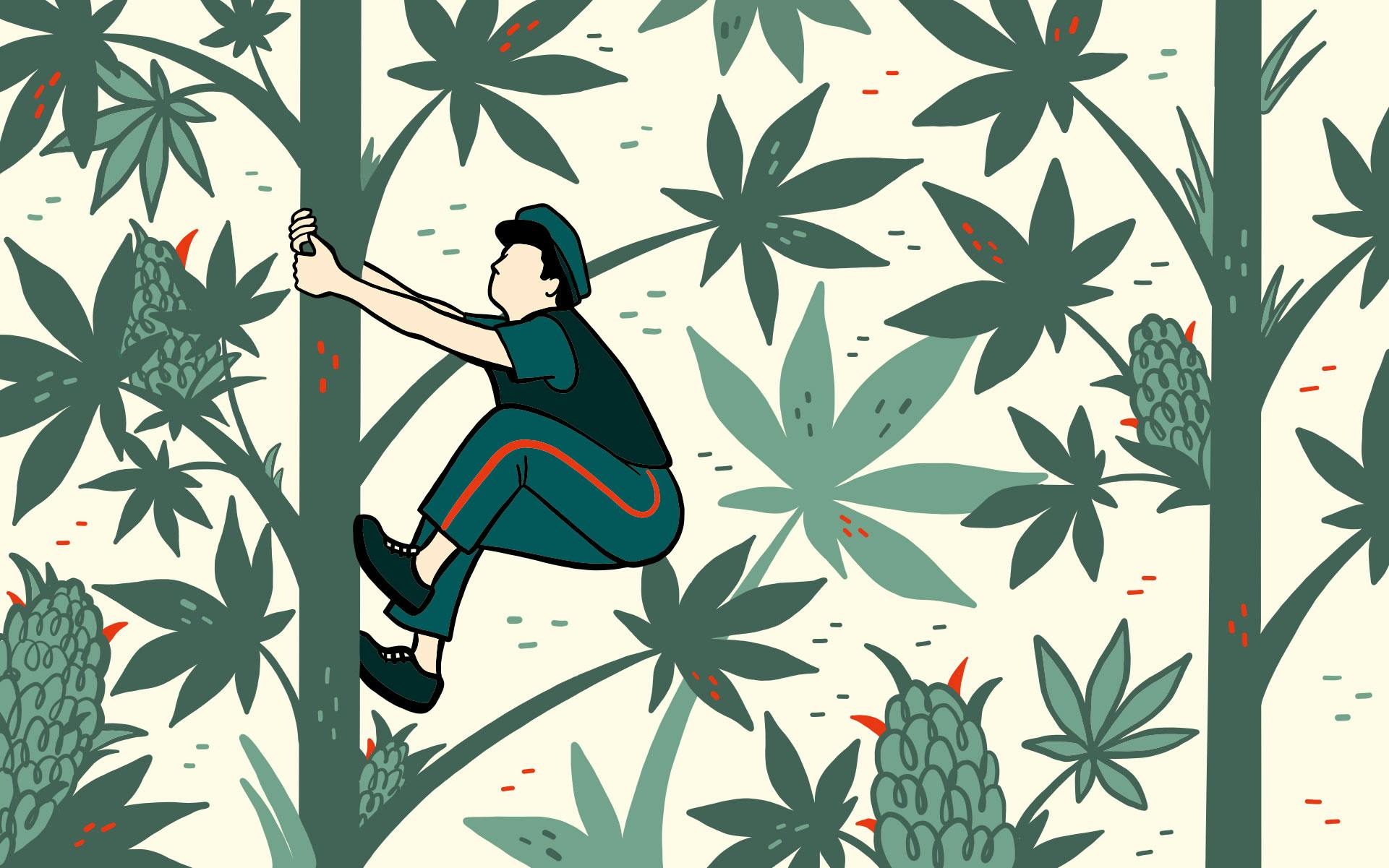 ‘I Tried the Edible That Made a Toronto Officer Freak Out’ image