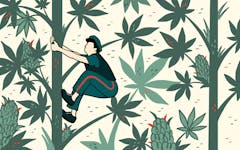 edibles toronto officer