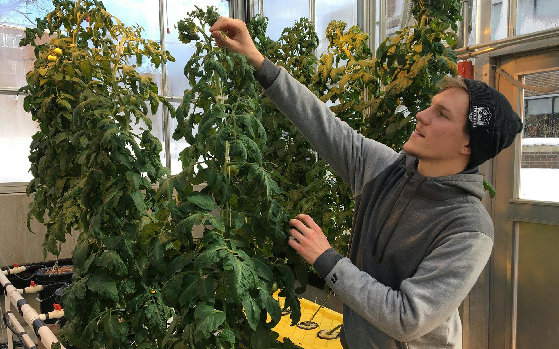 Want a Degree in Cannabis? Here's Where to Start image