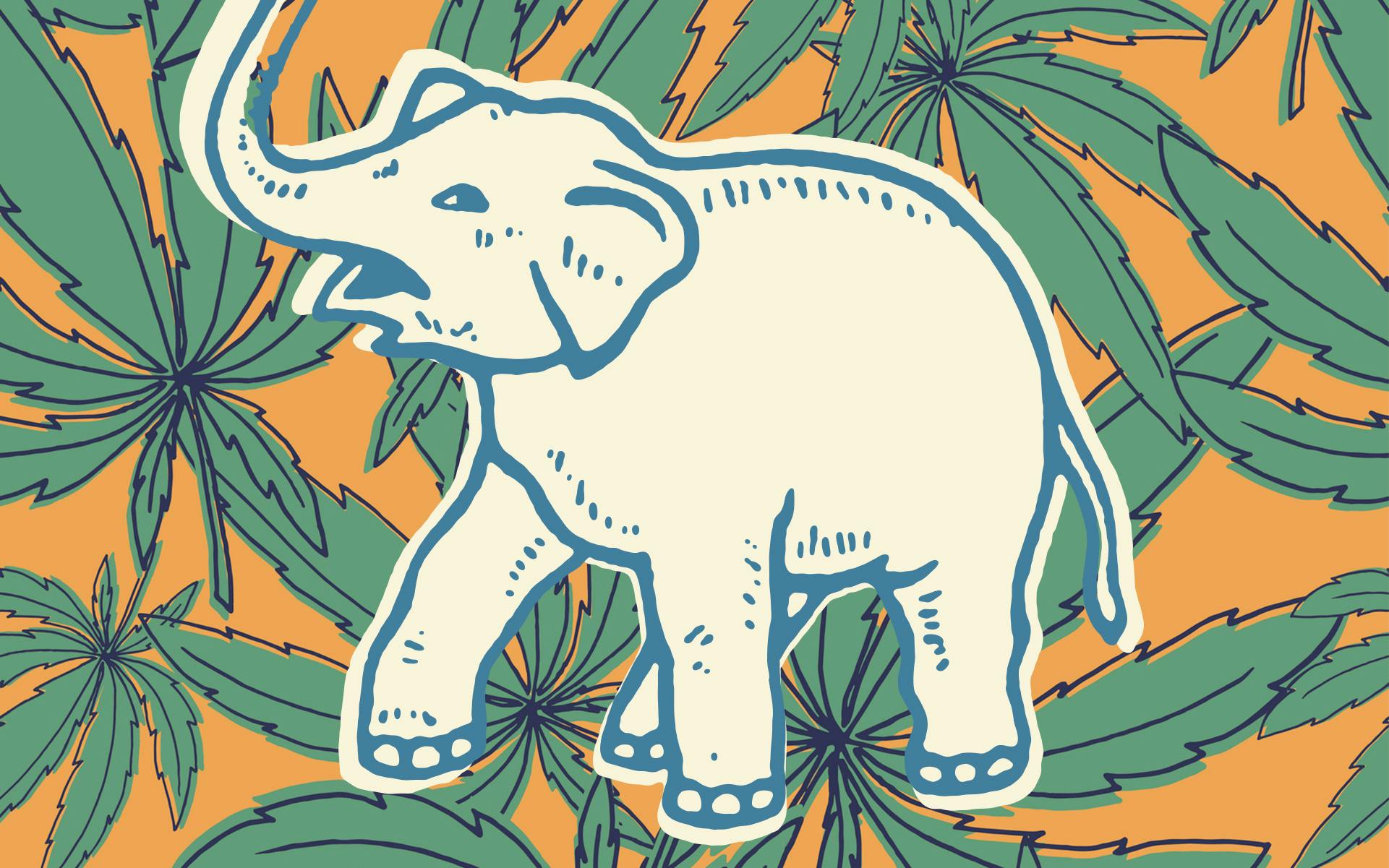 Republicans Are the Key to Legalization in Texas image