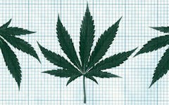 this week hobo wedding expo