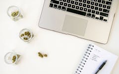 Productive canadian cannabis strains