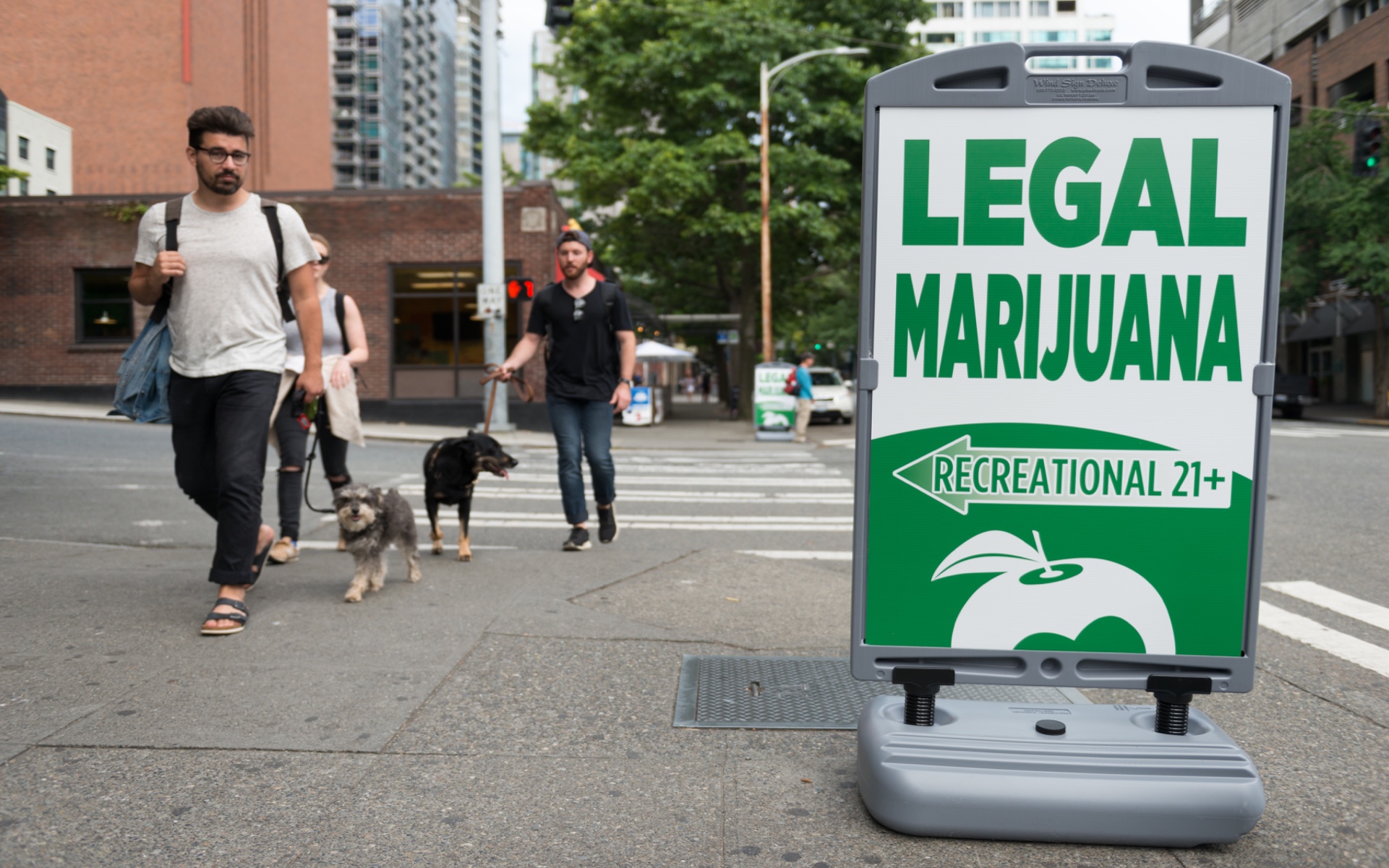 New York Legalization Lives or Dies by Friday, Senator Says Leafly