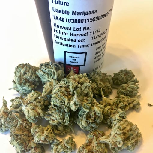 Future for $10 per eighth-ounce at Happy Leaf in Portland, OR. (By David Downs)