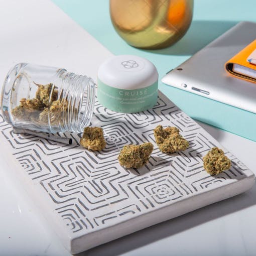 (Courtesy Canndescent)