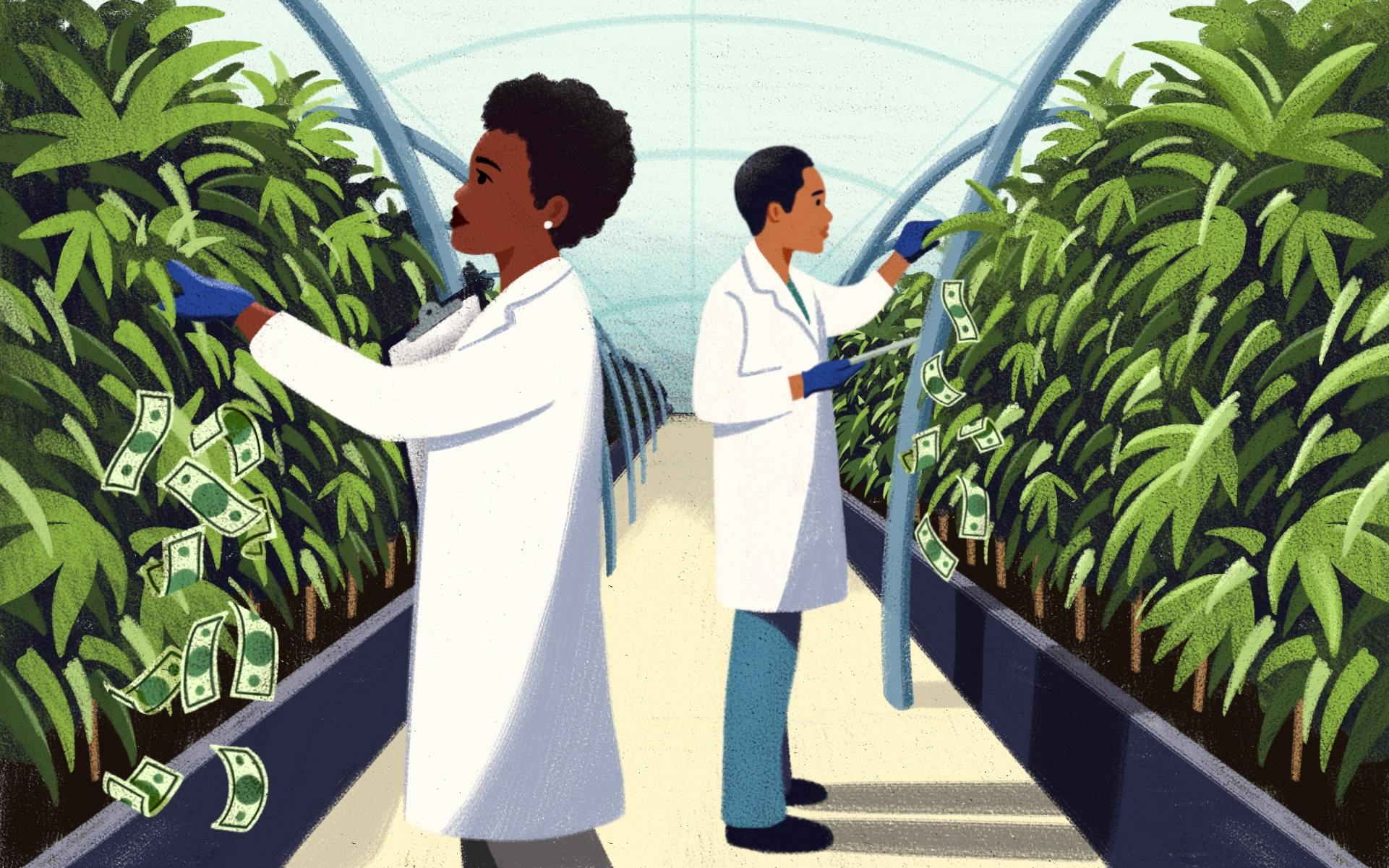 How can Black people get rich off cannabis, too? image