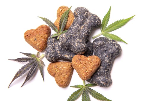 Dog treats and cannabis leaves isolated over white background -