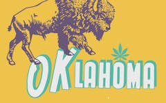 the word 'Oklahoma' with a bison above it, and a pot leaf over the second "O" against a yellow backdrop