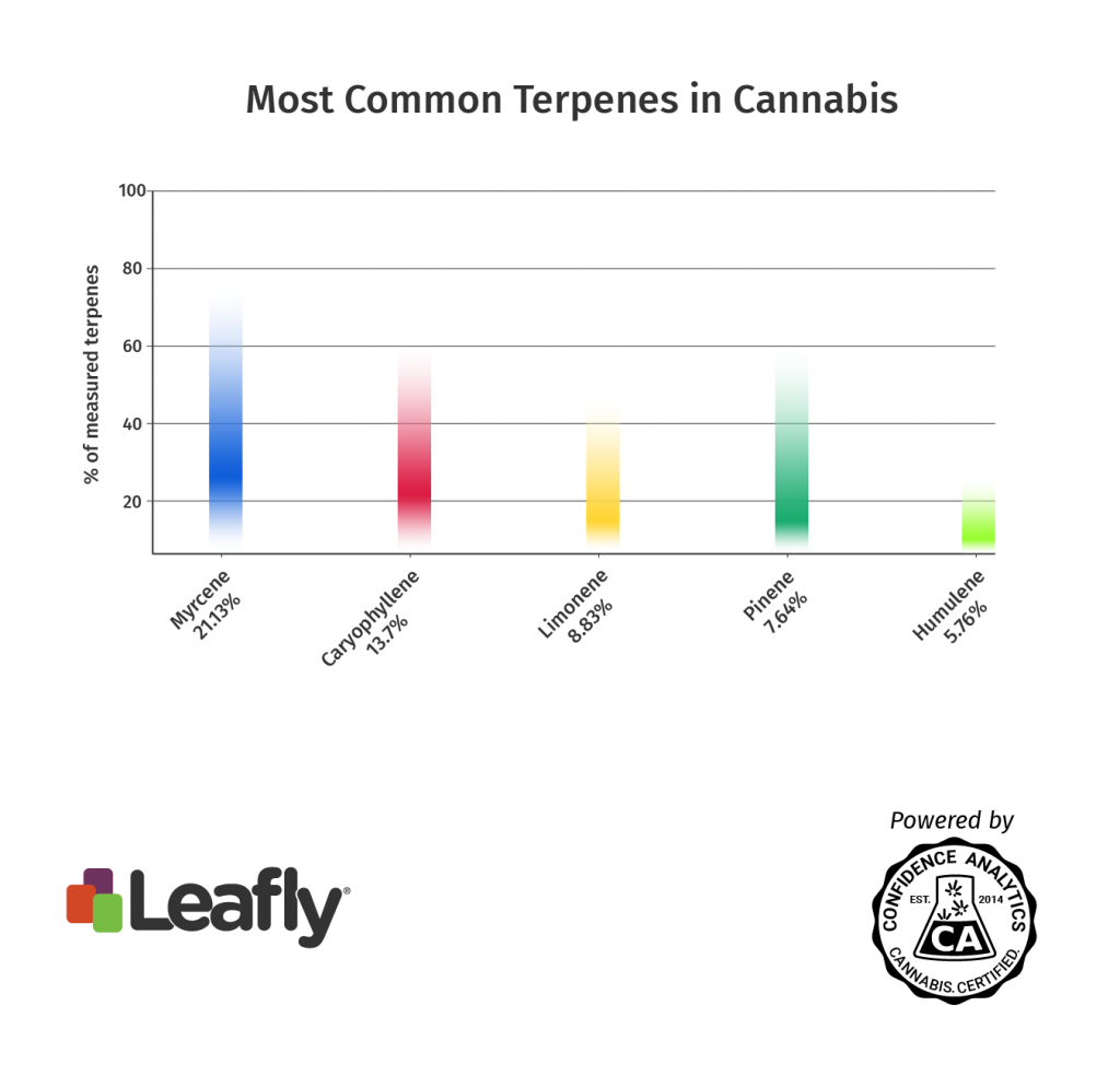 What is myrcene and what does this cannabis terpene do? Leafly