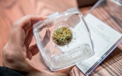 Ganjika House cannabis store dispensary hiring