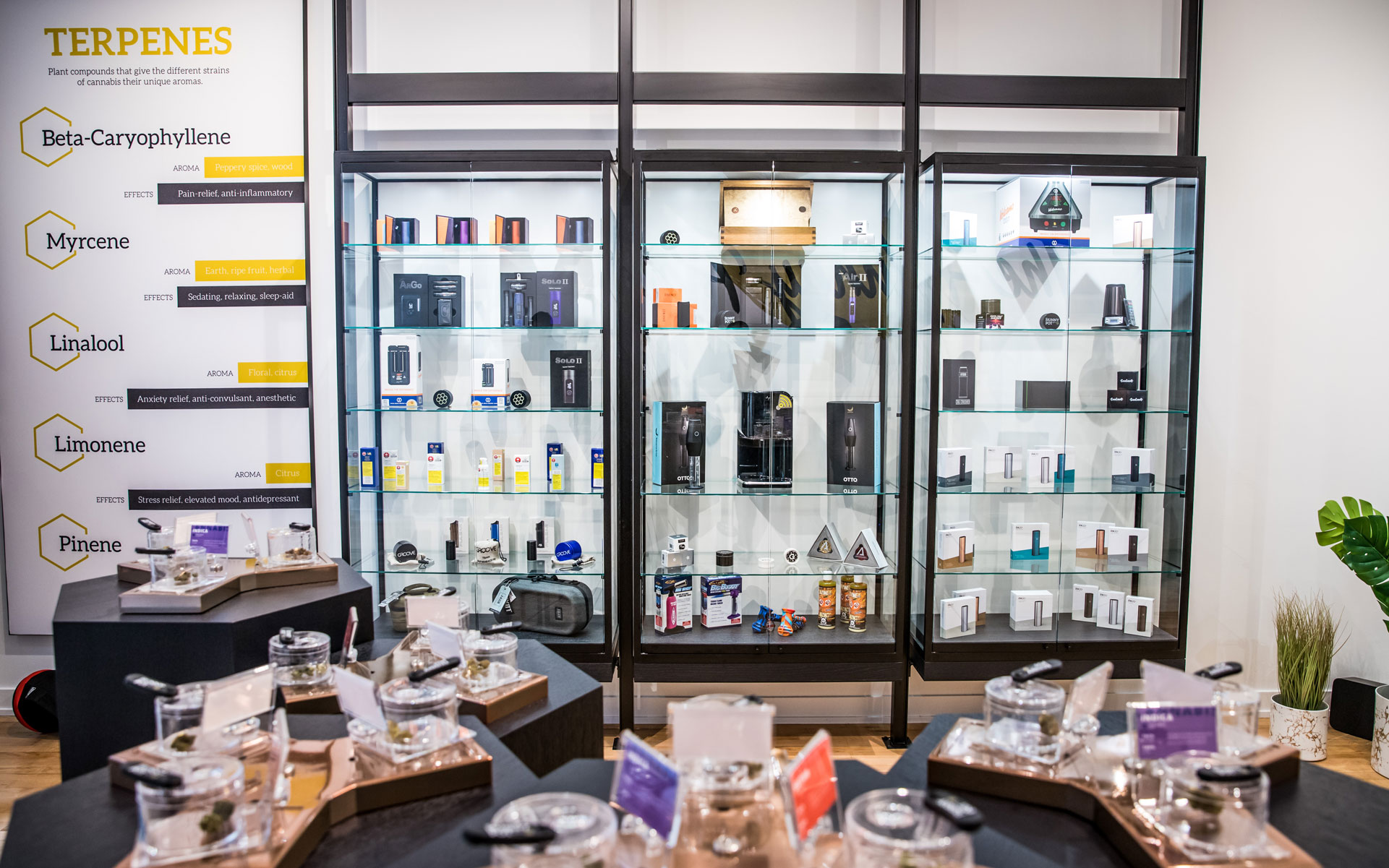 The Hunny Pot cannabis store