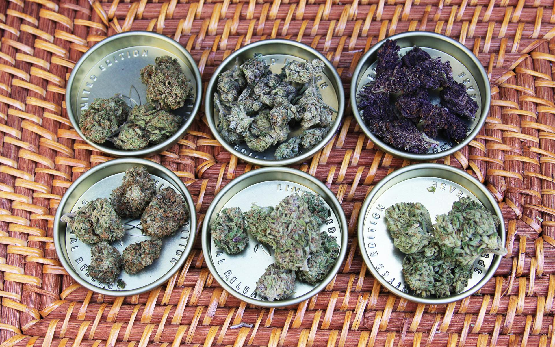 Tasted It! Leafly Tries the World’s Hottest Cannabis Debut image