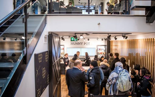 hunny pot accessible