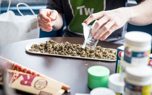 30 gram joint Canada's Biggest Legal Joint