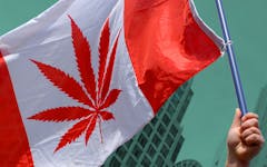420 canada