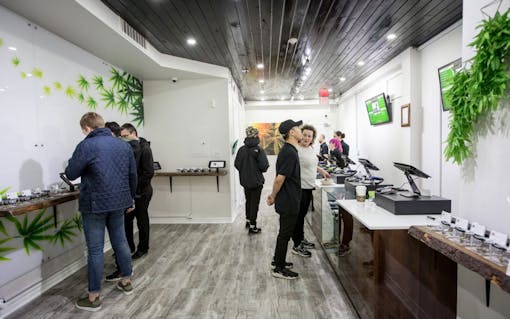 Ameri Toronto Yorkville