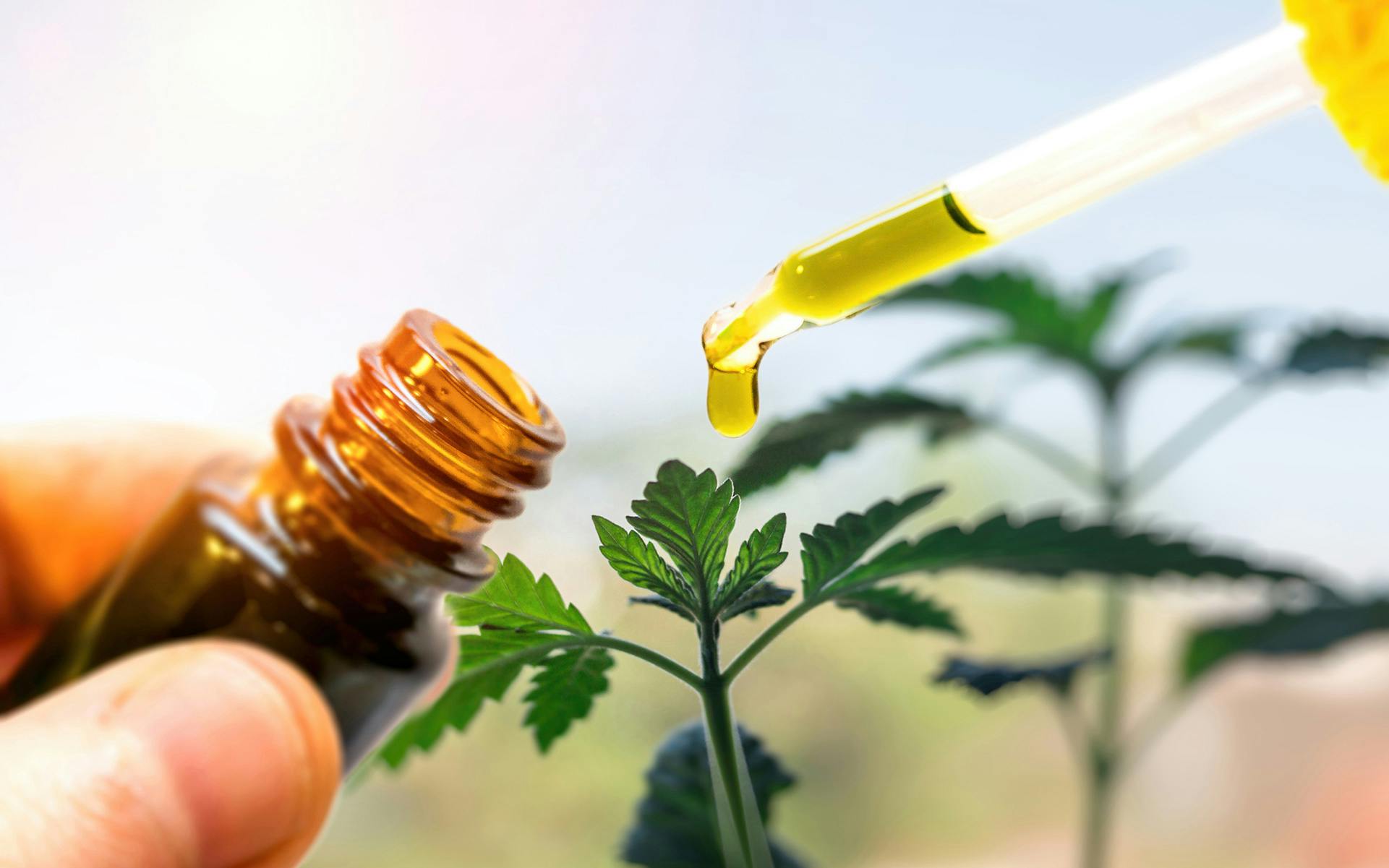 What to Know Before You Try CBD image