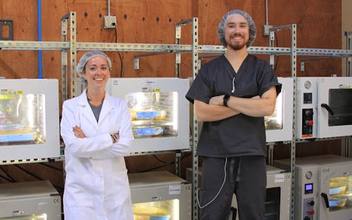 Utopia Cannabis technicians monitor vacuum ovens that purify solvent hash. (Elise Mcdonough for Leafly)