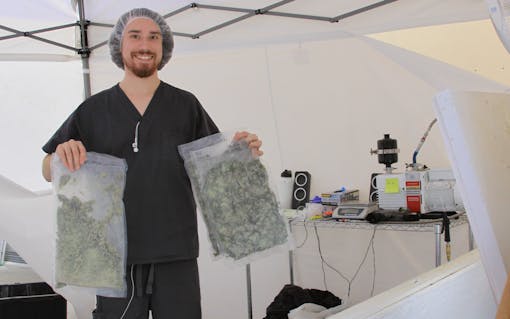 "Fresh-frozen" cannabis makes for more aromatic hash than flower buds that have been dried and cured for weeks. (Elise Mcdonough for Leafly)