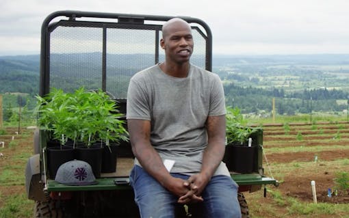 Al Harrington brings the high-grade with Viola. (Courtesy of Viola)