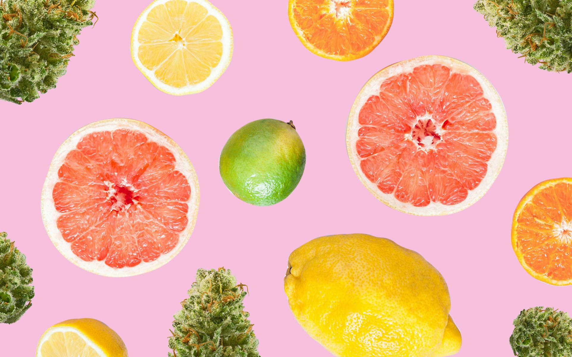 6 strains with citrus terpenes image