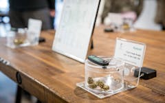 legal weed the niagara herbalist