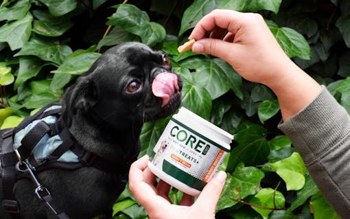 Core CBD Pet Treats
