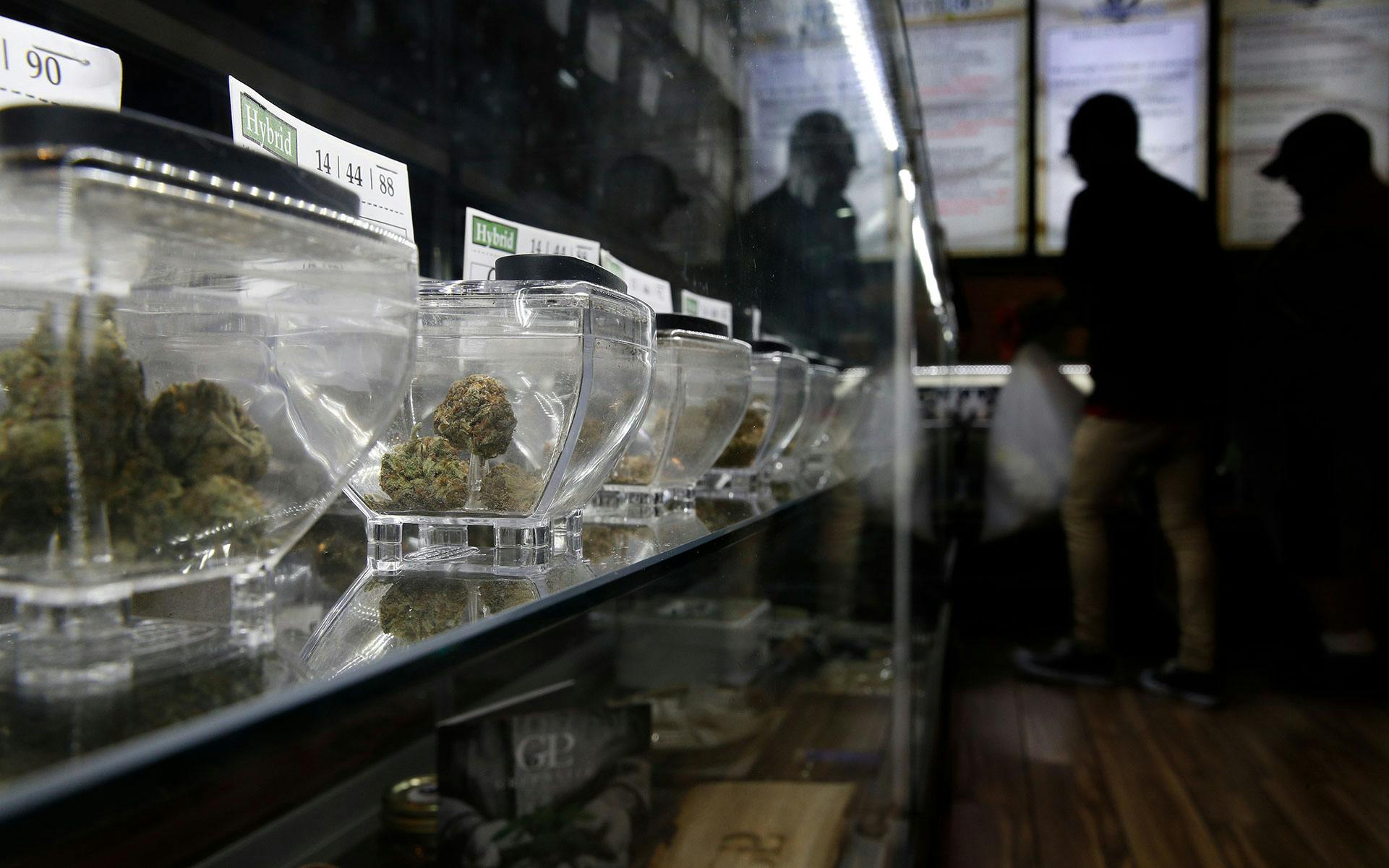 Nevada Law to Reveal Names of Cannabis Store Owners image