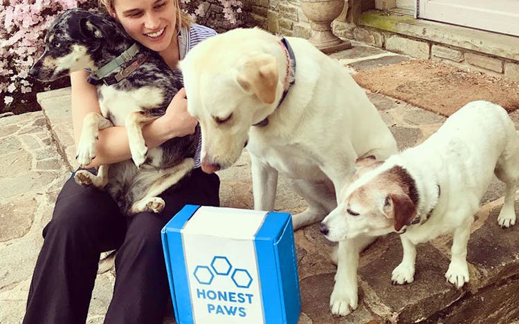 A Vet Weighs in on CBD Oil for Dogs image