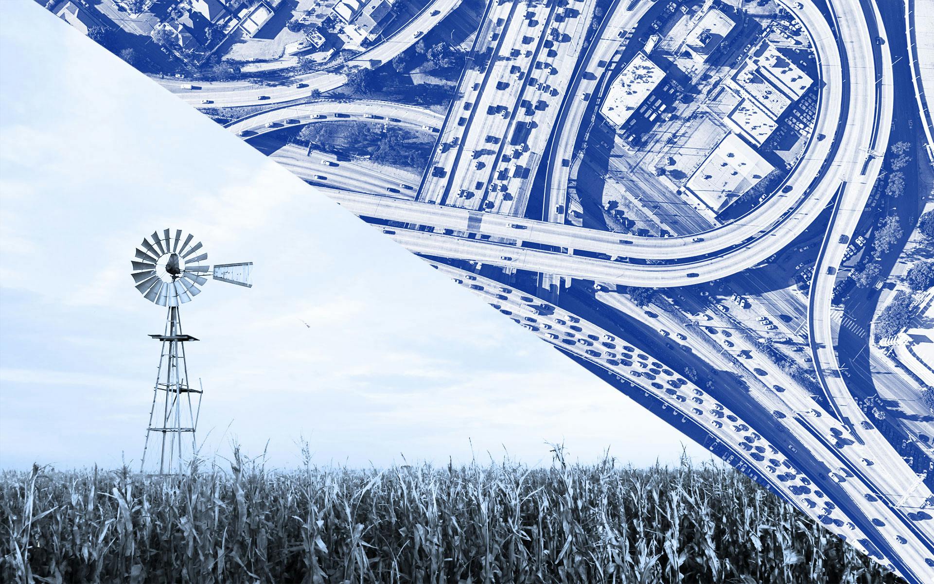 This chart reveals California's cannabis divide image