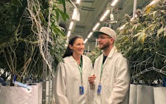 RXGreen cannabis scientist Shara Ross