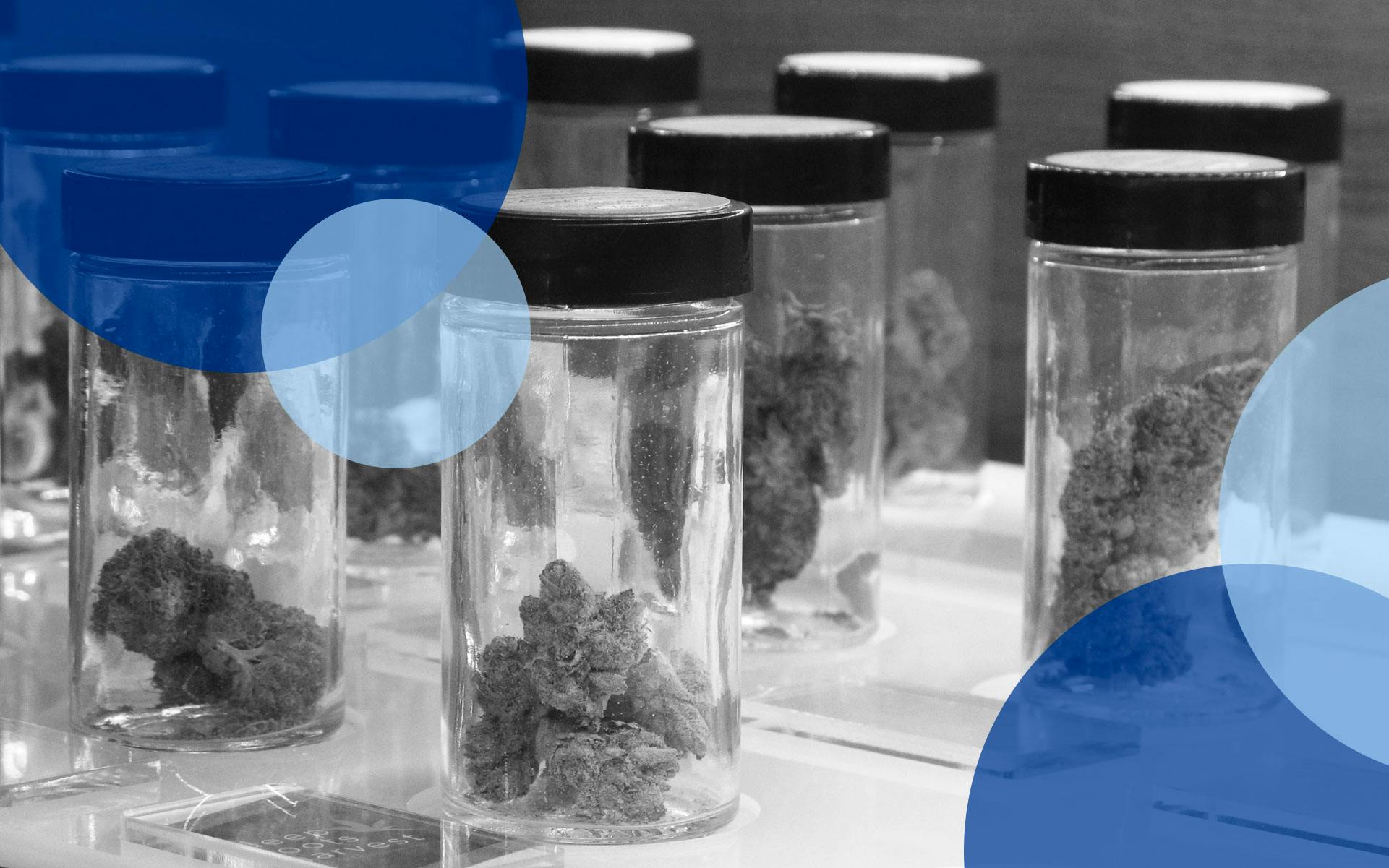 5 stories helping to debunk dispensary myths image