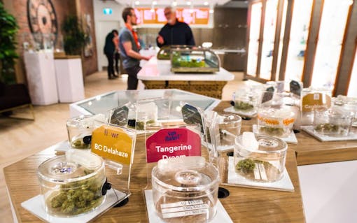 Fire & Flower Kingston Ontario