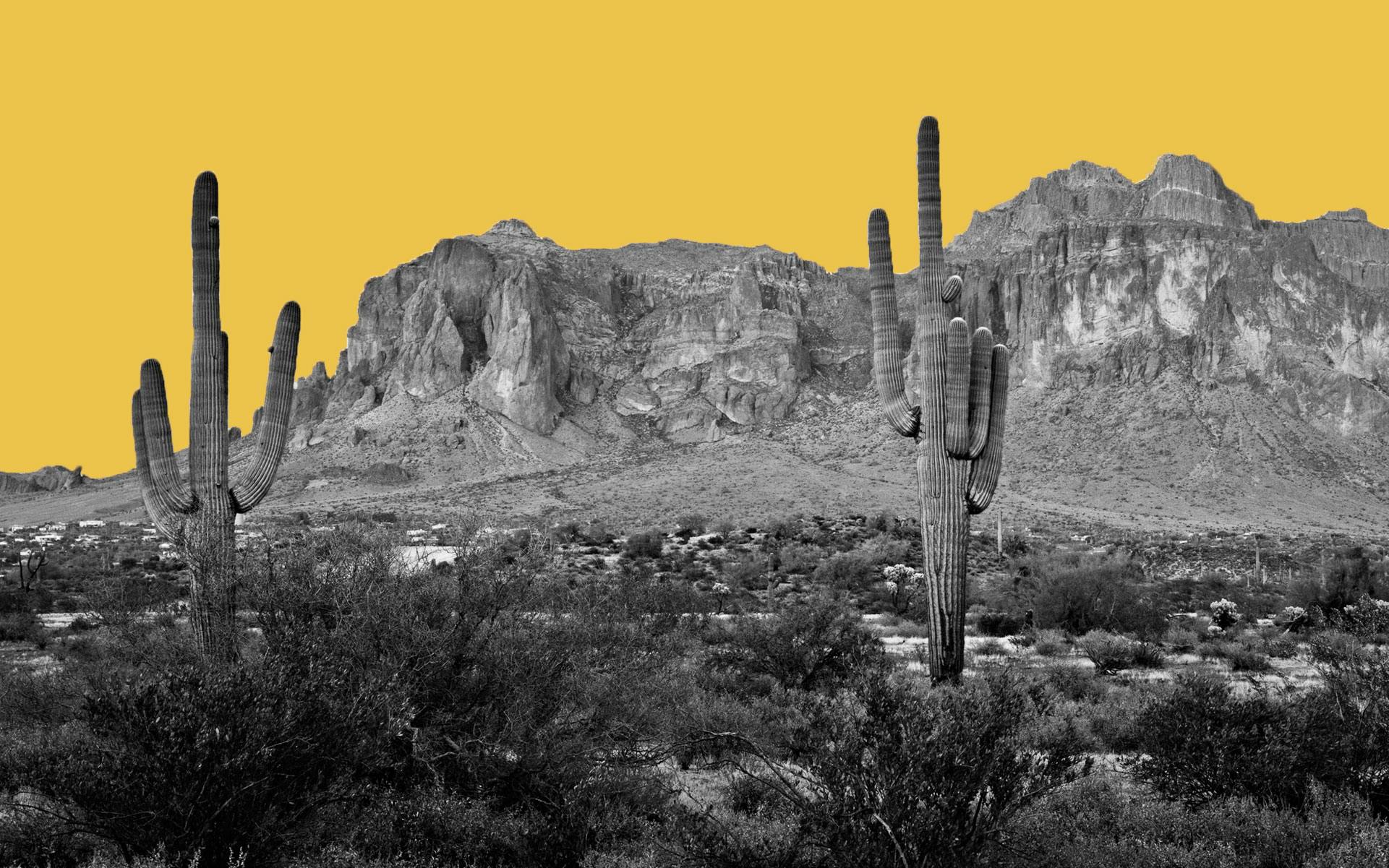 Cannabis Extracts Are Legal, Arizona High Court Rules image