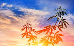 Sask june events sunset