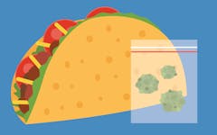 cannabis-sales-taco-bell