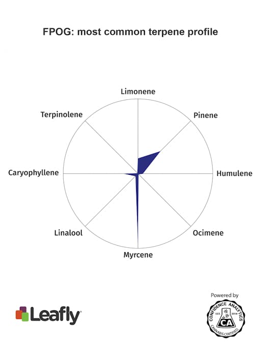 fpog strain cannabis terpenes