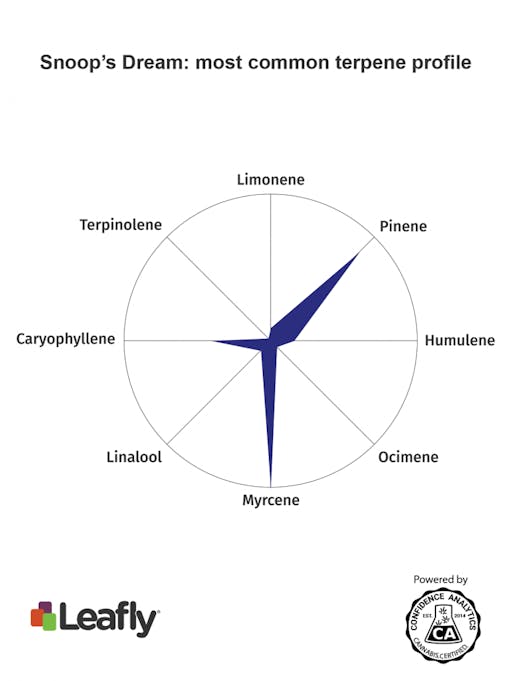 snoops dream strain cannabis terpenes