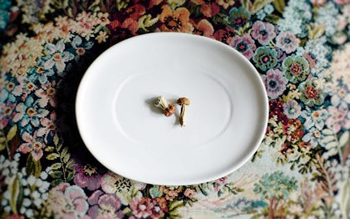 Puffco Peak, psilocybin, and - Leafly's podcast The Hash interviews Roger Volodarsky